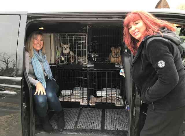 Fiona & Samantha with their pets, enjoying a break on their way from S.Devon & Brighton to S.Spain.